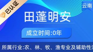 富宁田蓬明安农副产品店的初级农产品收购业务探析
