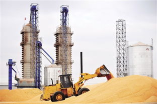 全国人大代表岳国君 加快处理超期超标稻谷，促进生物乙醇发展，优化初级农产品收购体系