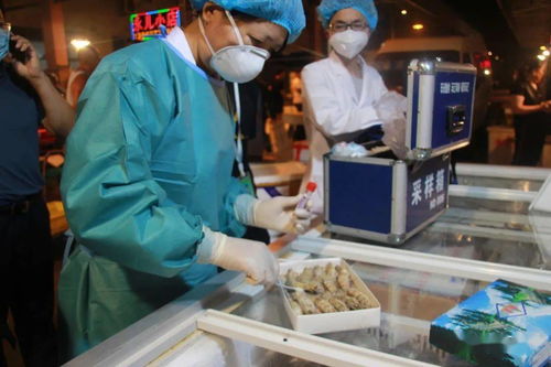 第三轮新冠病毒应急监测结果公布 初级农产品收购环节安全可控